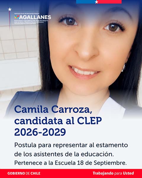 Carroza 1